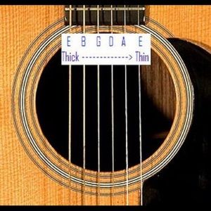 Meet your Posher, Leo